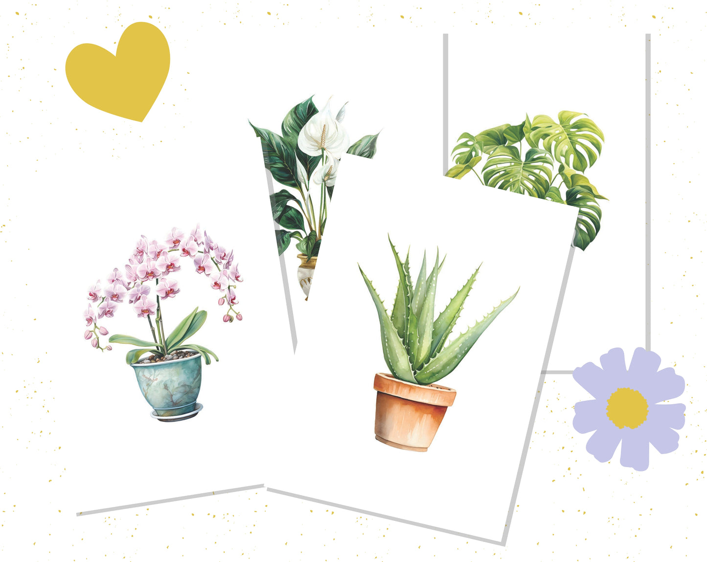 Set ansichtkaarten met kamerplanten