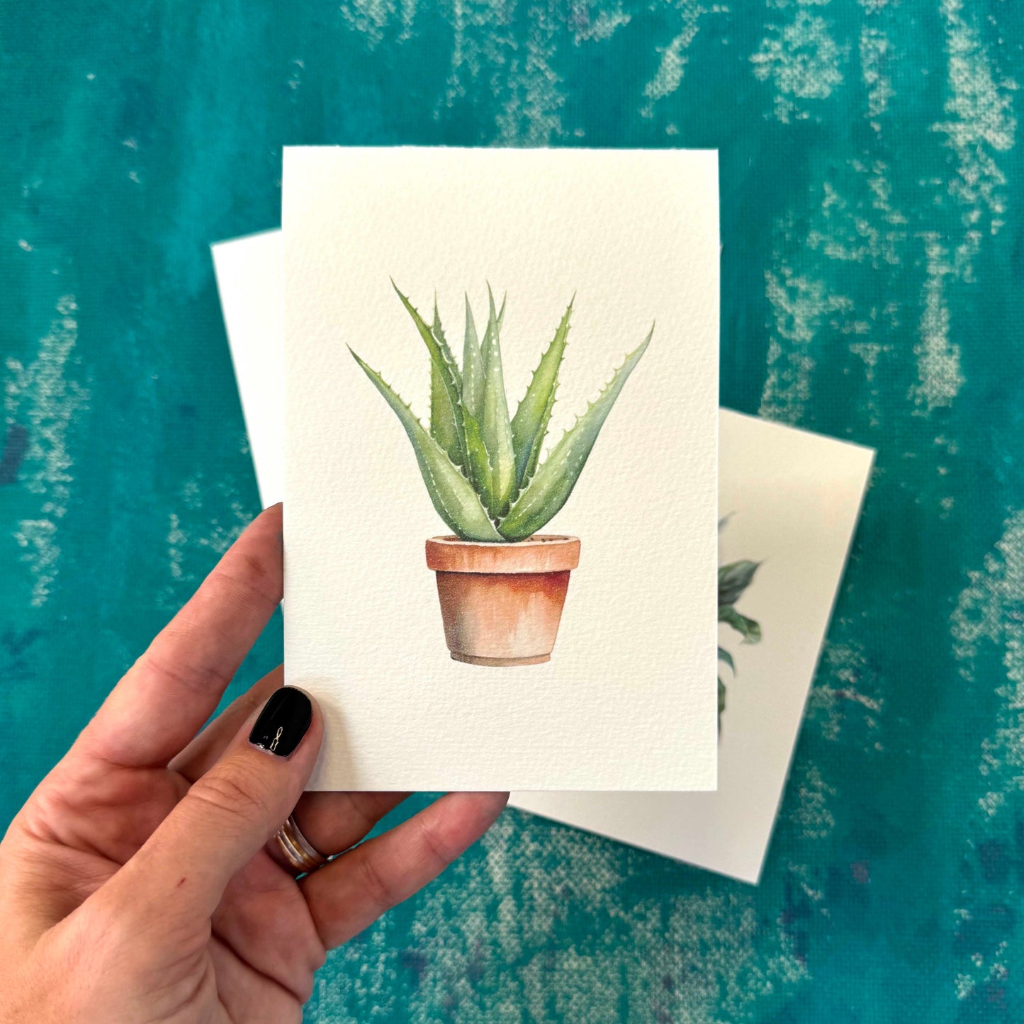 Set ansichtkaarten met kamerplanten