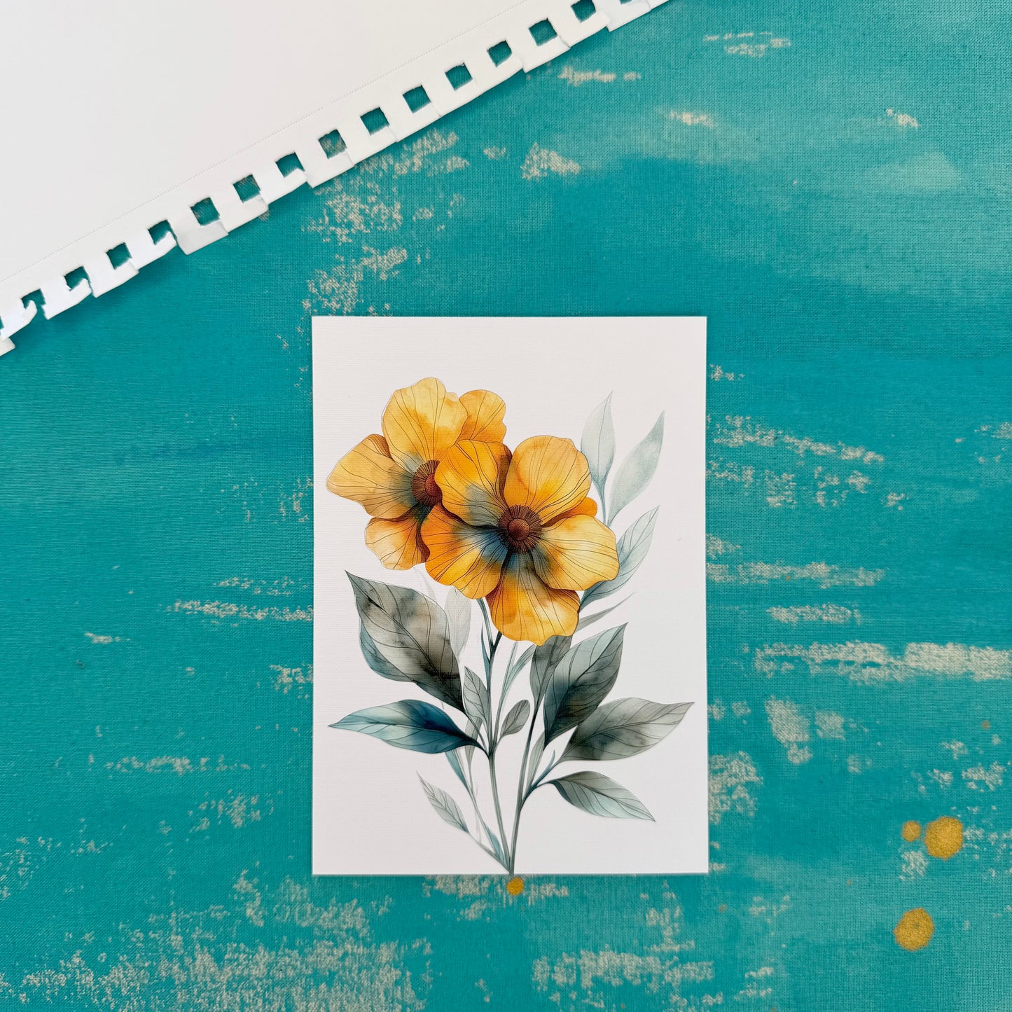 Summer Flower - Beautiful Illustrated Postcard for Gifting & Collecting