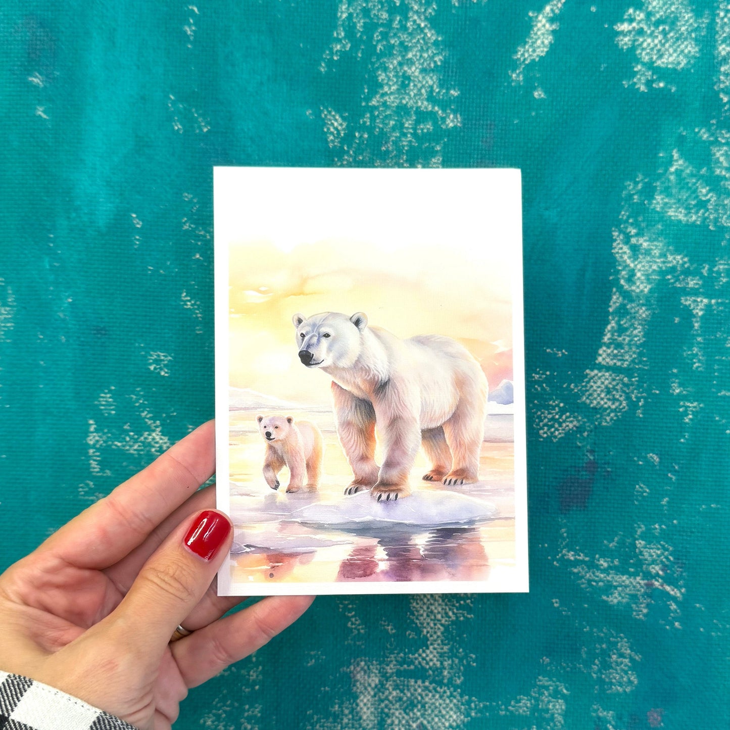 Polar Bears Postcard