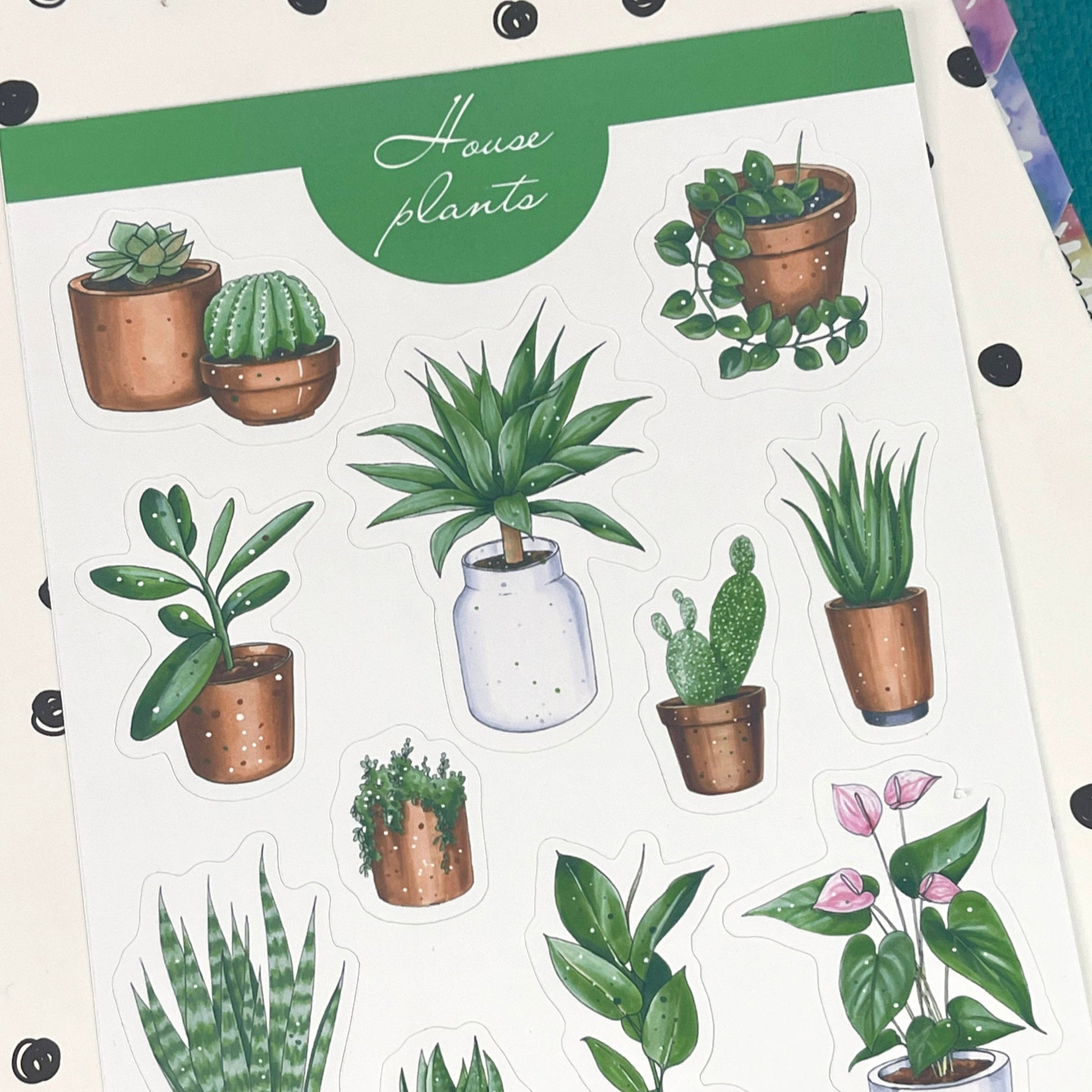 House Plants stickers Succulent and Cactus bujo stickers, bujo stickers, planner stickers