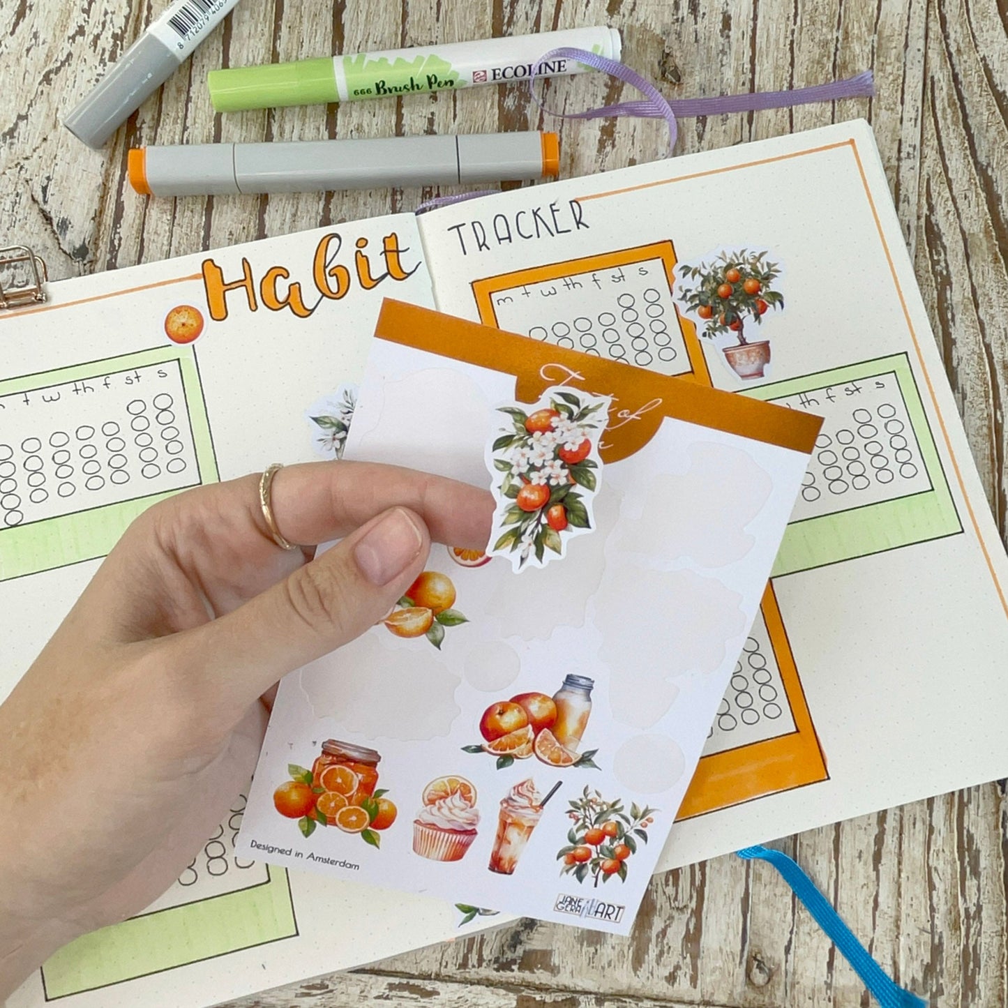 Oranges planner stickers Summer bujo sticker sheet