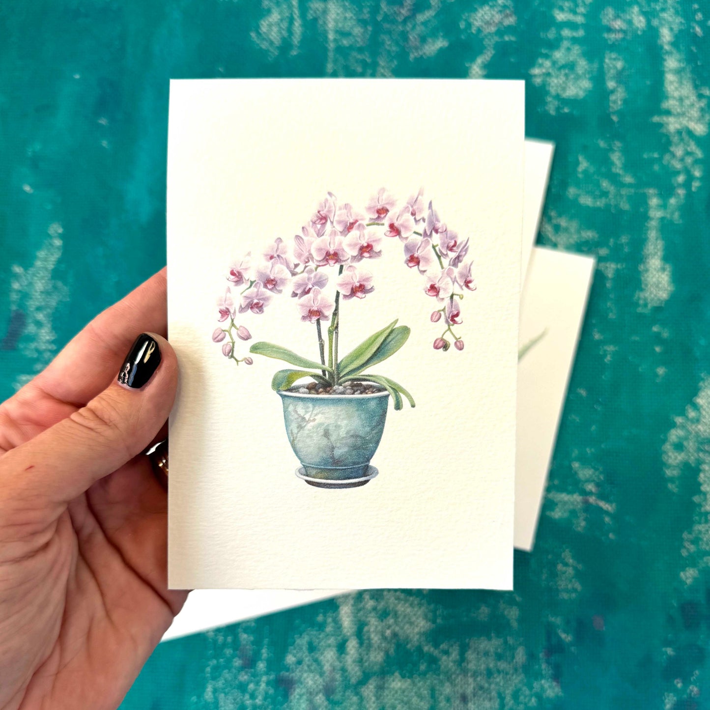 House Plants Postcard Set