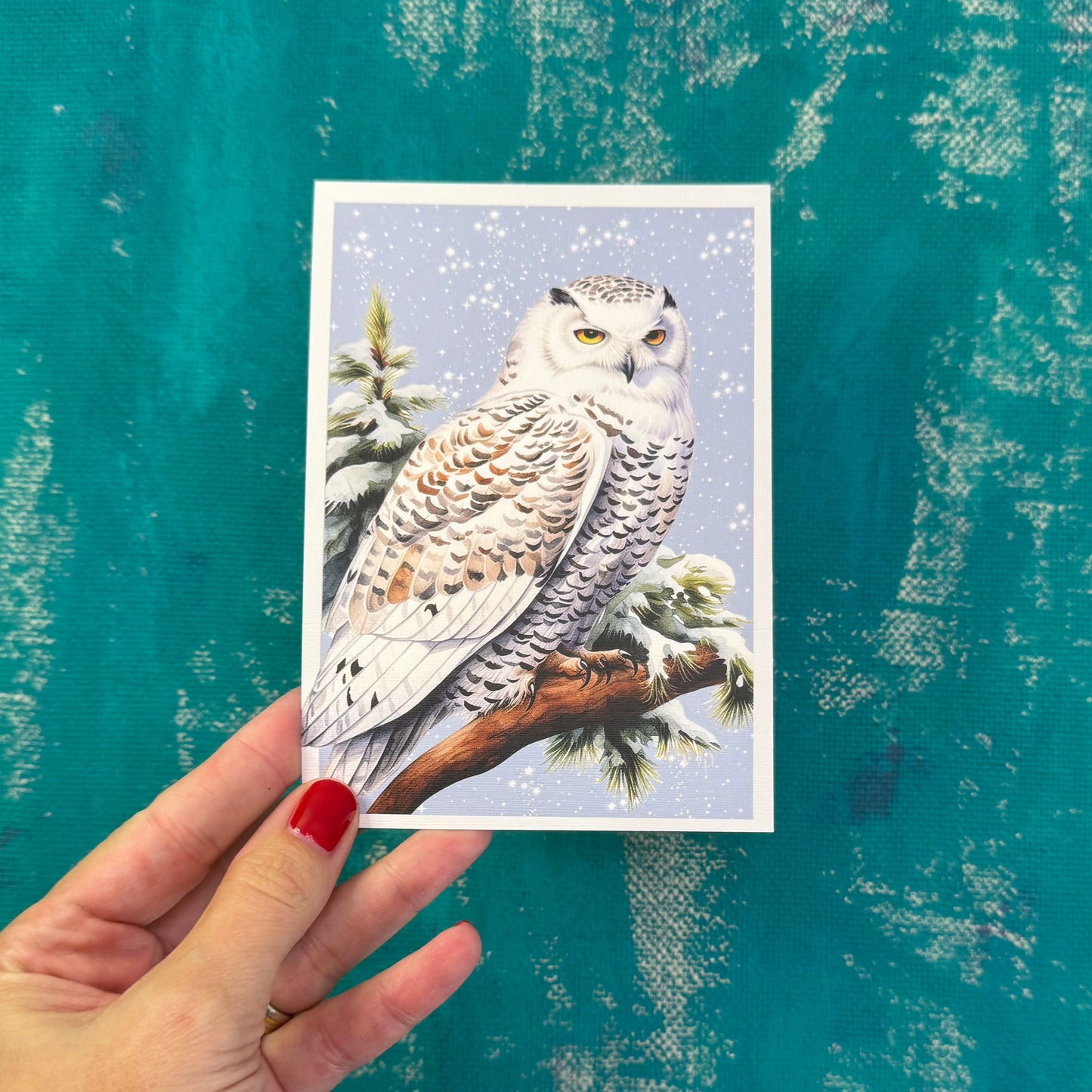 Snow Owl Winter Postcard