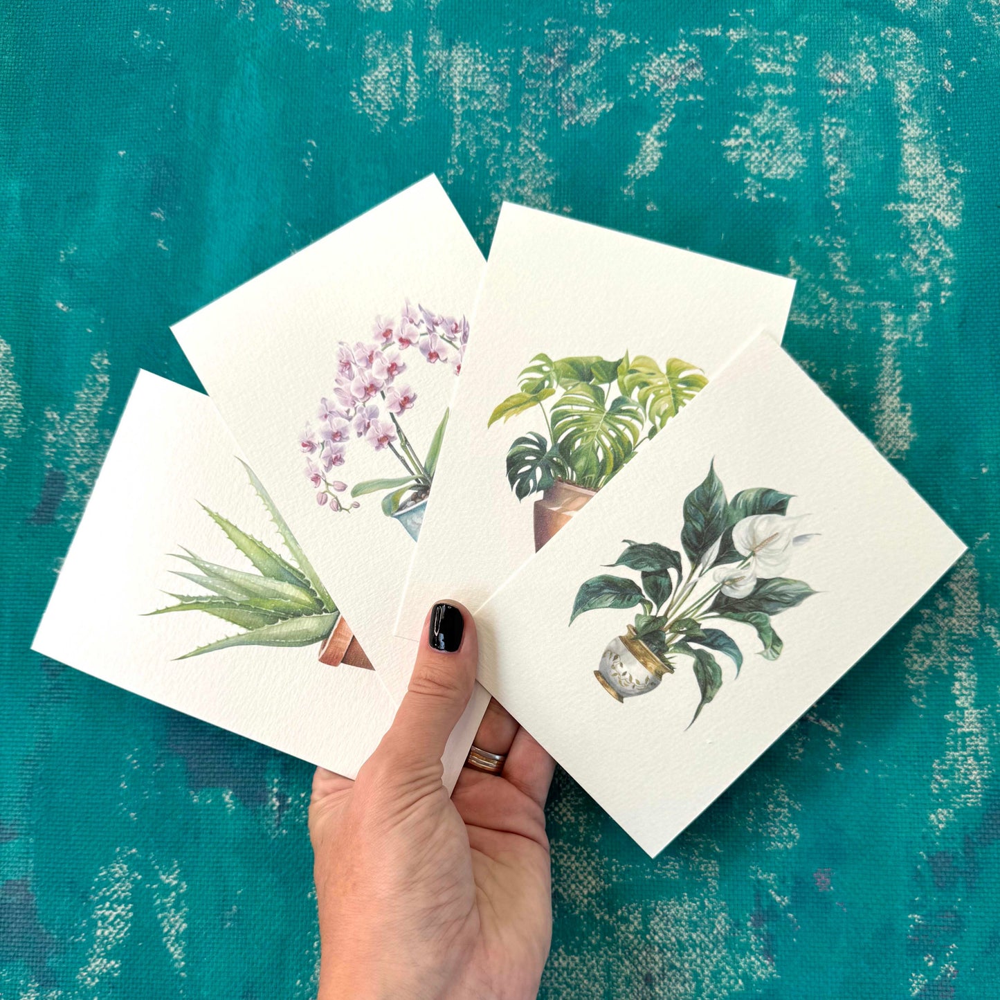 House Plants Postcard Set