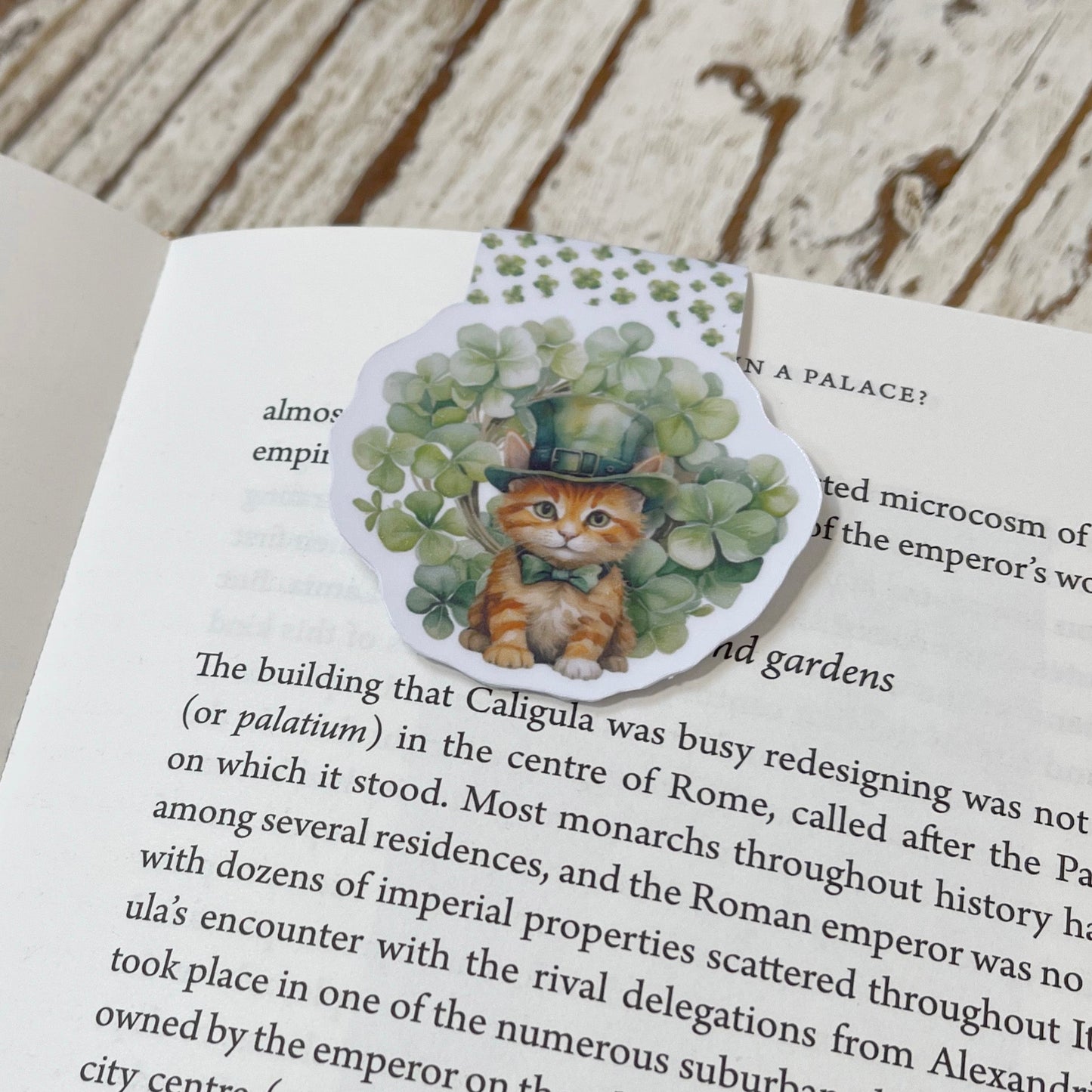 Lucky Kitten magnetic bookmark